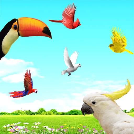 Sky Birds Live Wallpaper Free 2.3