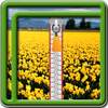 Zipper Lock Screen Daffodil 1.4
