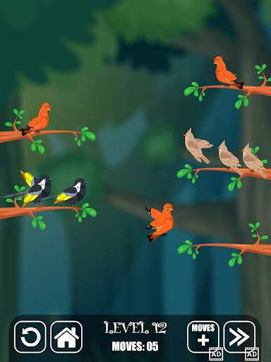 Bird Sorting Fun Puzzle Game screenshot 9