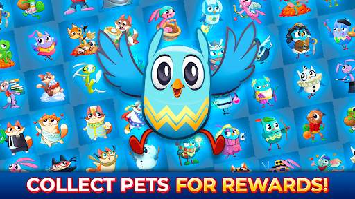 Bingo Pop: Play Live Online screenshot 5