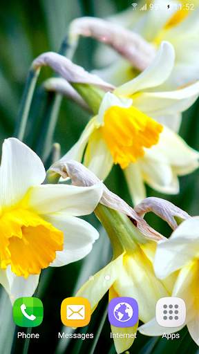 Spring Flowers Live Wallpaper screenshot 6