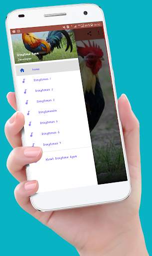 Chicken Ringtones screenshot 1