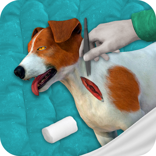 Pet Surgeon simulator:Animal Hospital surgery game icon