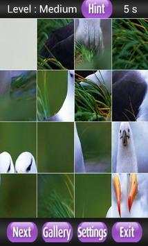 Birds Species Puzzle स्क्रीनशॉट 5