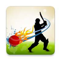 Learn Cricket