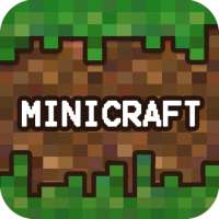Pro Minicraft World 2021