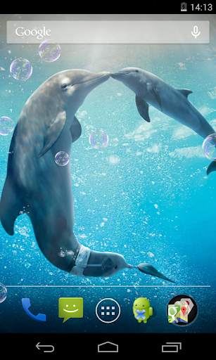 Dolphins Live Wallpaper screenshot 1