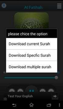 Holy Quran  Yehya Hawa screenshot 2