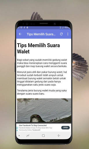 Suara Walet Panggil dan Inap screenshot 6
