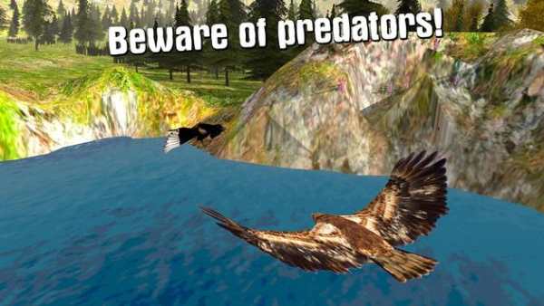 Eagle Bird Survival Sim 3D screenshot 3