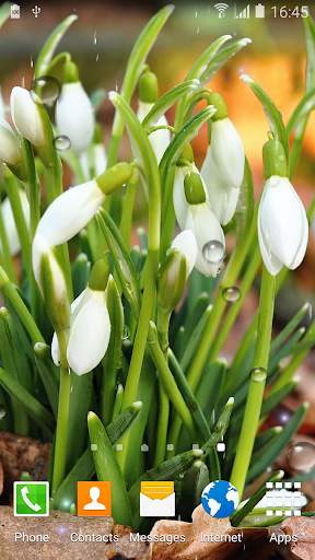 Spring Nature Live Wallpaper screenshot 5