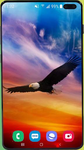 Eagle Wallpaper Best HD screenshot 8