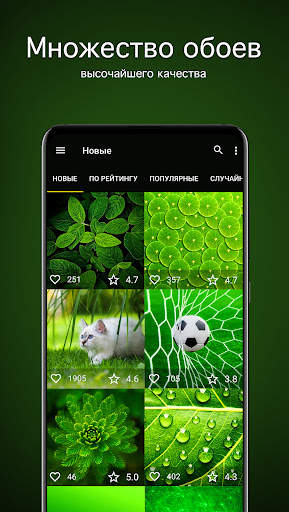 Зелёные обои от 7Fon скриншот 2