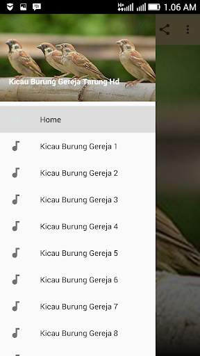 Kicau Burung Gereja Tarung Komplit Hd screenshot 1