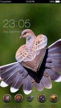 Cute Bird Theme C Launcher screenshot 1