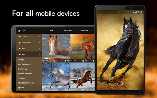 Horse Wallpapers 4K screenshot 6