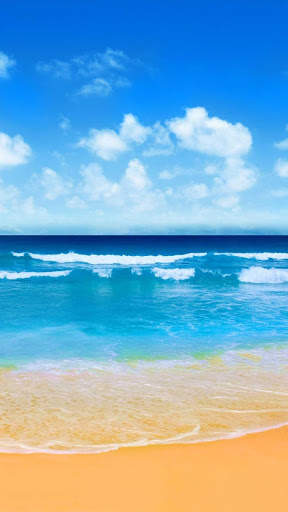 Summer Wallpapers : backgrounds hd screenshot 2
