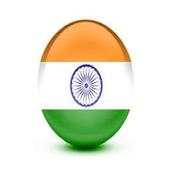 India Chat 7.8