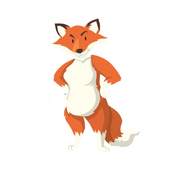 VPN For FireFox 1.0.0.2