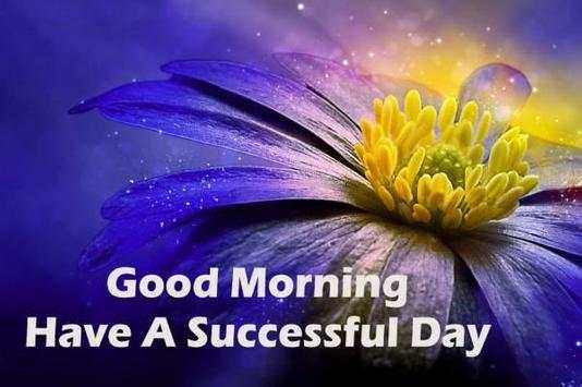 Good Morning Evening wishes images Gif screenshot 5