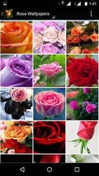 Rose Wallpaper HD screenshot 7