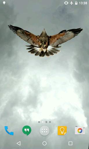 Eagle Live Wallpaper screenshot 3