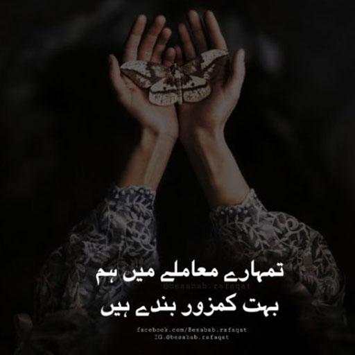 Offline Urdu Poetry 2020 1.0