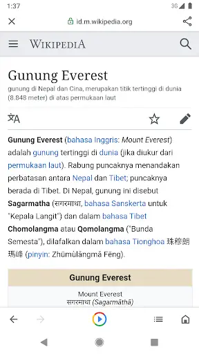 Google Go screenshot 3