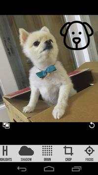 Video & Photo InShot Editor screenshot 2