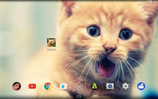 Gatos Fondos y fotos graciosas screenshot 8