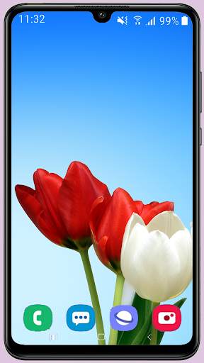 Tulips Wallpaper Best HD screenshot 13