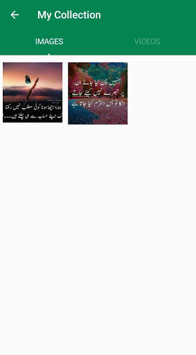 Status Saver Pro screenshot 3