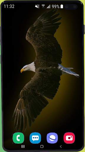 Eagle Wallpaper Best HD screenshot 11
