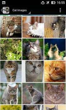 CatBG: Cat Wallpapers screenshot 3