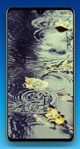 Rain Wallpaper 4K screenshot 11