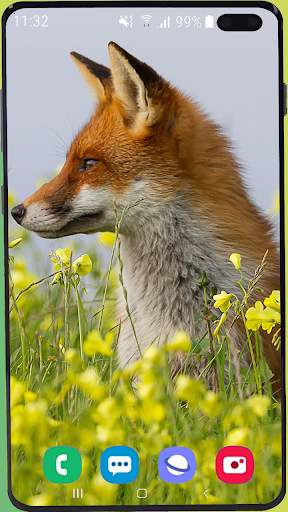 Fox Wallpaper Best HD screenshot 16