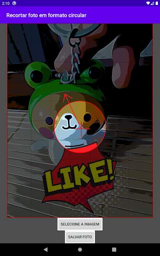 Recortar foto em formato circular screenshot 12