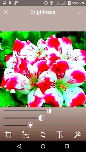 Vintage Photo Editor screenshot 4