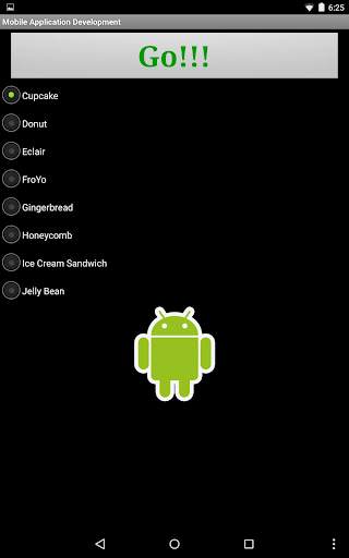 Mobile Application Development screenshot 13