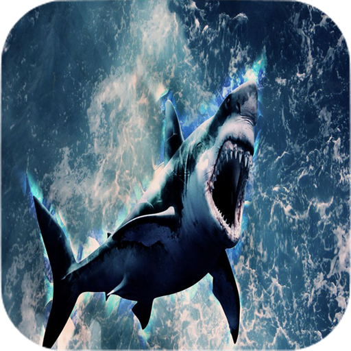 Shark Wallpapers icon