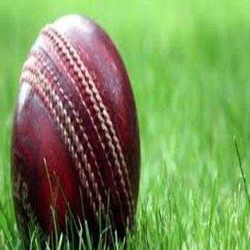 IPL Cricket 2018 screenshot 2