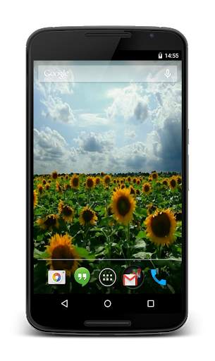 Sunflowers 3D Live Wallpaper screenshot 1