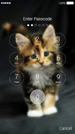 Kitten Lock Screen 4 تصوير الشاشة