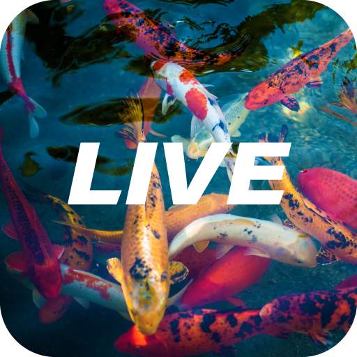 Koi Live Wallpaper 1.0