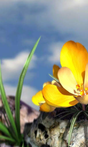 Nature Live ❁ Spring Flowers 3D screenshot 2