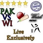 Pakistan vs West Indies Match icon