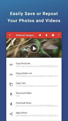 Friendly Social Browser screenshot 4