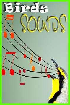 Birds Sounds Ringtones screenshot 1