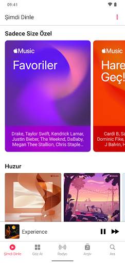 Apple Music screenshot 3