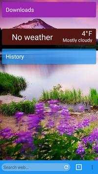 Net Browser screenshot 1